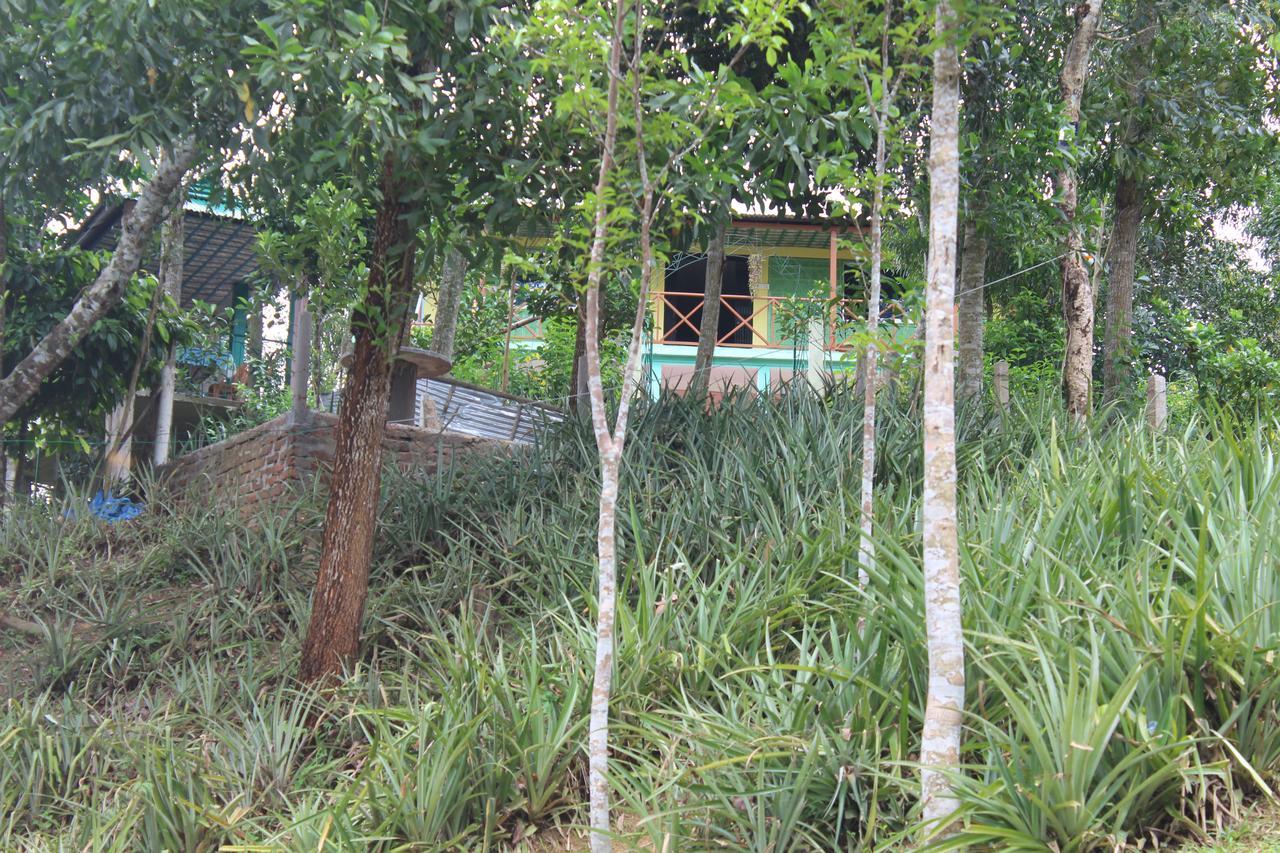 Green Palace Tea Resort Sreemangal Buitenkant foto